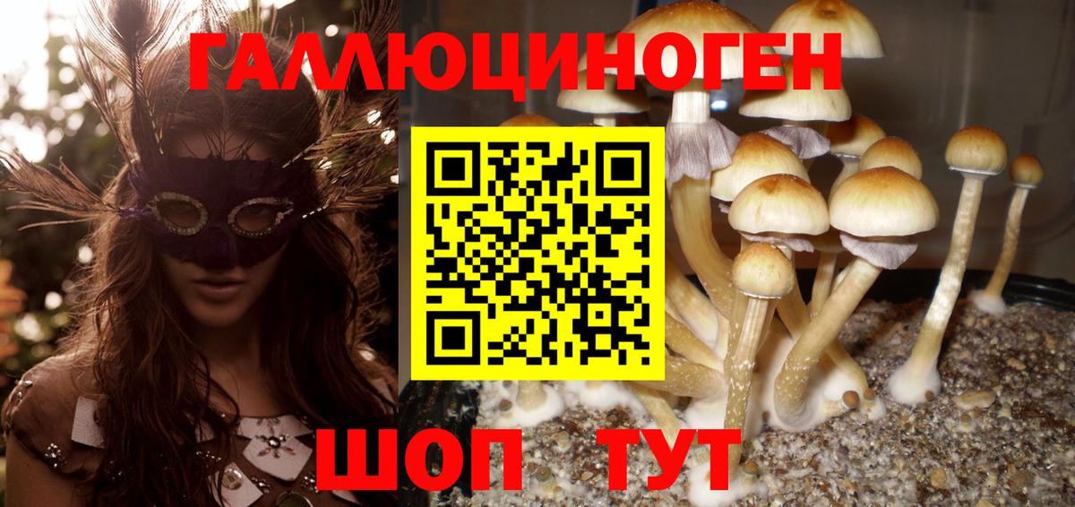 Галлюциногенные грибы MAGIC MUSHROOMS  Галлюциногенные грибы Cubensis  Волгоград  Вход с VPN 